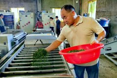  举办茶叶出
